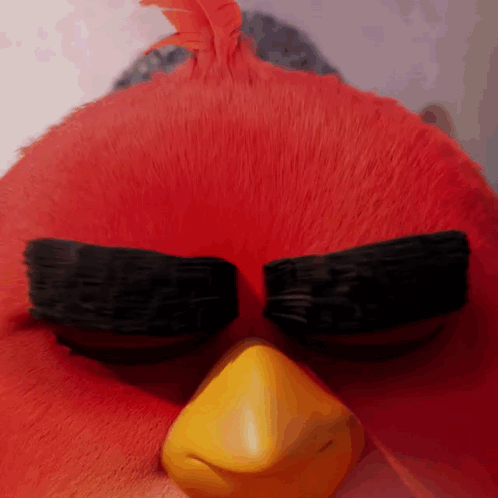 Angry Bird Close Up With Black Eyebrows And Yellow Beak GIF