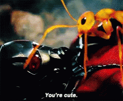 A Close Up Of An Ant With The Words " You 'Re Cute " On The Bottom GIF