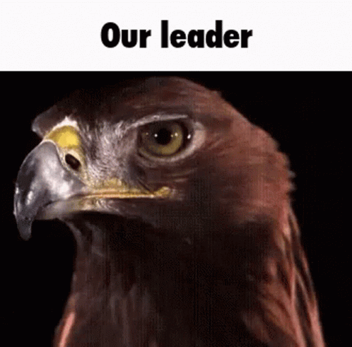 A Close Up Of An Eagle 'S Face With The Words Our Leader Above It GIF