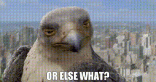A Close Up Of An Eagle With The Words Or Else What Written On It GIF