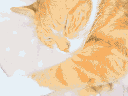 A Close Up Of An Orange And White Cat Sleeping On A Blanket GIF