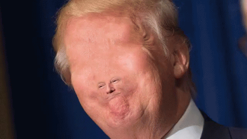 A Close Up Of Donald Trump 'S Face With A Very Small Nose GIF