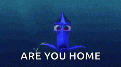 A Close Up Of Dory 'S Eyes With The Words `` Are You Home '' Behind Them . GIF