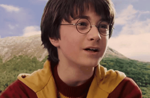 A Close Up Of Harry Potter Wearing Glasses And A Red And Yellow Jacket GIF