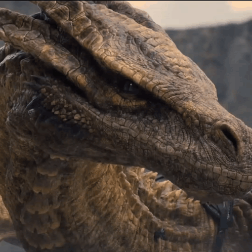A Close Up Of The Face Of A Dragon GIF
