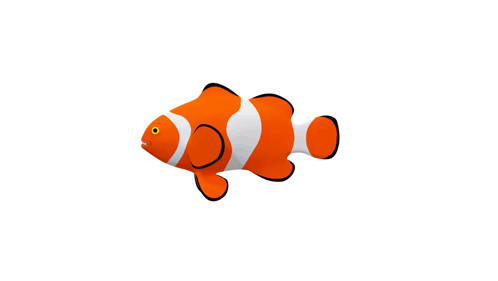 A Clown Fish With Orange And White Stripes And A Yellow Eye GIF