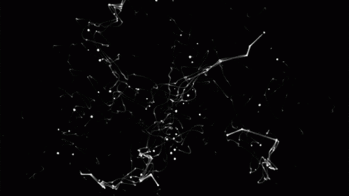A Cluster Of White Lines And Dots On A Black Background GIF
