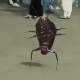 A Cockroach Is Hanging From A String On The Ground GIF