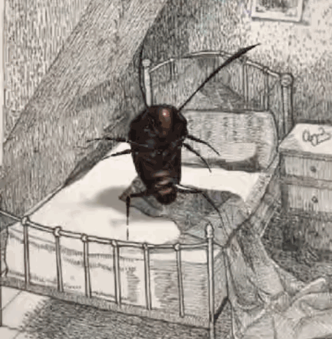 A Cockroach Is Sitting On A Bed In A Drawing GIF