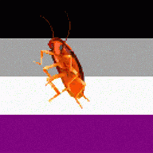 A Cockroach Is Sitting On A Purple White And Black Flag GIF