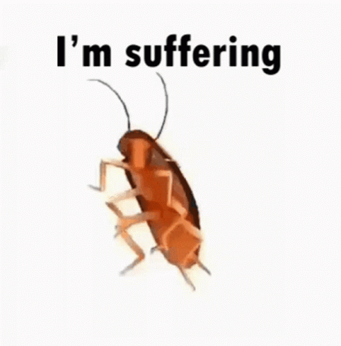 A Cockroach Is Sitting On A White Surface With The Words `` I 'M Suffering '' Written Above It . GIF