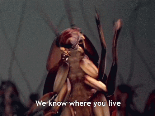 A Cockroach Says " We Know Where You Live " GIF