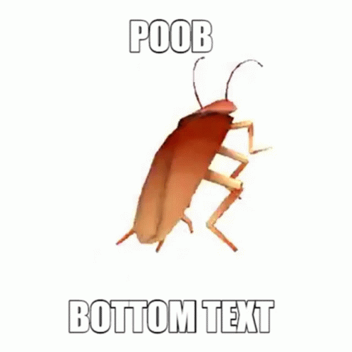 A Cockroach With A Caption That Says Poob Bottom Text GIF