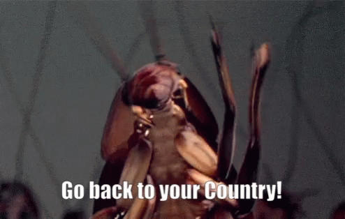 a cockroach with the words go back to your country written on it