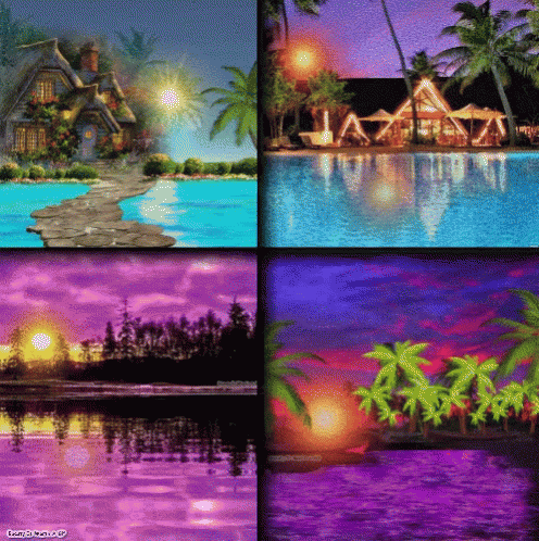 A Collage Of Four Pictures Of A House Swimming Pool And Palm Trees With A Watermark That Says Terry O'neill Ap GIF