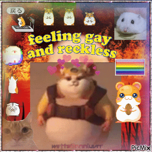 a collage of hamsters with the words feeling gay and reckless