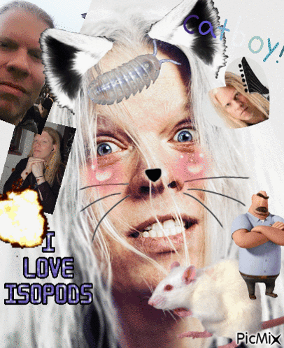 A Collage Of Images With The Words I Love Isopods At The Bottom GIF