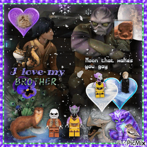 A Collage Of Images With The Words I Love My Brother GIF