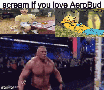A Collage Of Images With The Words Scream If You Love Aerobud GIF