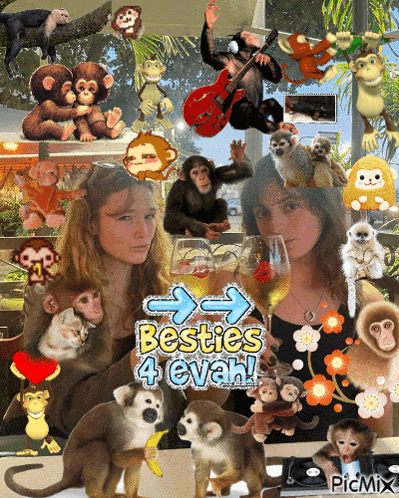 A Collage Of Monkeys And Two Girls With The Words Besties 4 Evah GIF