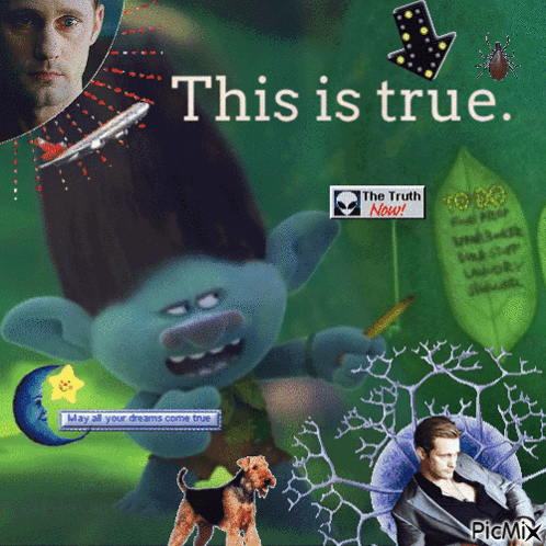 A Collage Of Trolls And A Man With The Words This Is True GIF