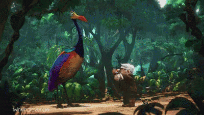 A Colorful Bird With A Long Neck Is Walking Through A Jungle GIF