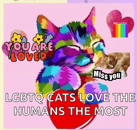 A Colorful Cat Is Holding A Red Heart With The Words " You Are Loved " On It GIF