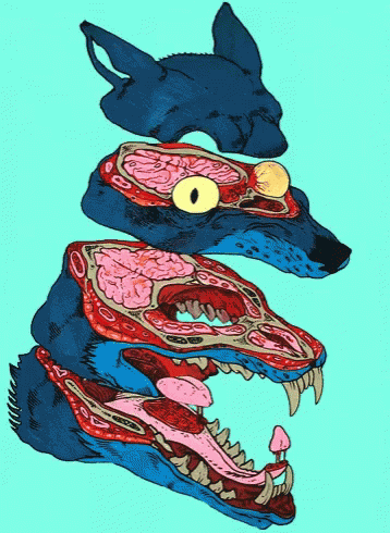 A Colorful Drawing Of A Wolf 'S Head With A Brain And Mouth GIF