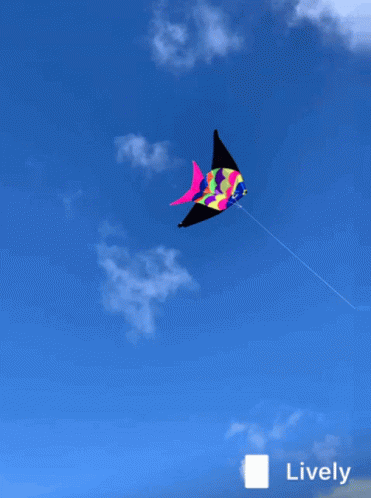 A Colorful Fish Kite Is Flying In The Blue Sky GIF