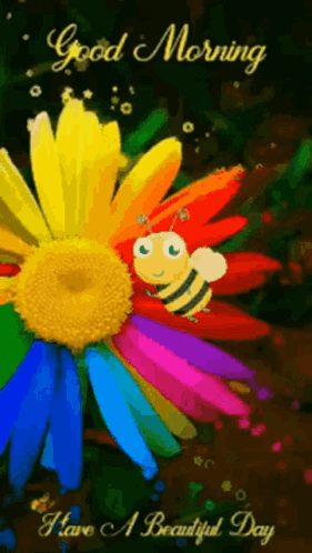 A Colorful Flower With A Bee On It And The Words Good Morning And Have A Beautiful Day GIF