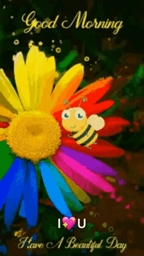 A Colorful Flower With A Bee On It And The Words `` Good Morning I Love U '' GIF