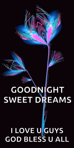 A Colorful Flower With The Words Goodnight Sweet Dreams I Love U Guys God Bless U All Below It GIF