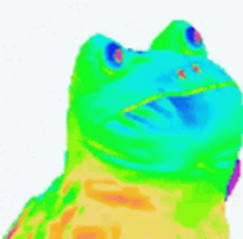 A Colorful Frog Is Sitting On A White Surface . GIF