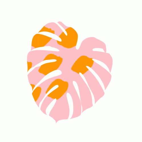 A Colorful Leaf On A White Background With The Letter E Visible GIF