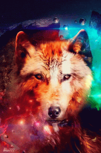 A Colorful Painting Of A Wolf With A Galaxy Background GIF