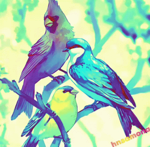 a colorful painting of three birds with the name hnsdmona written below them