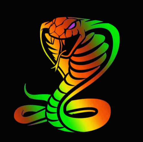 A Colorful Snake With Its Tongue Out On A Black Background . GIF