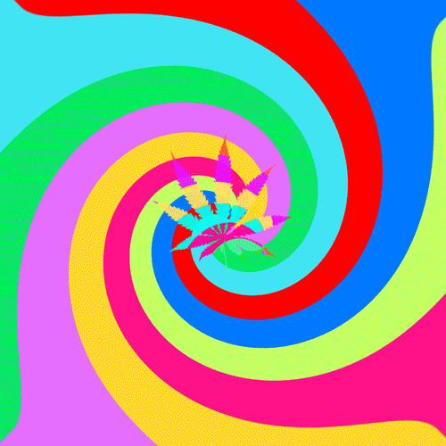 A Colorful Spiral With A Leaf In The Middle GIF