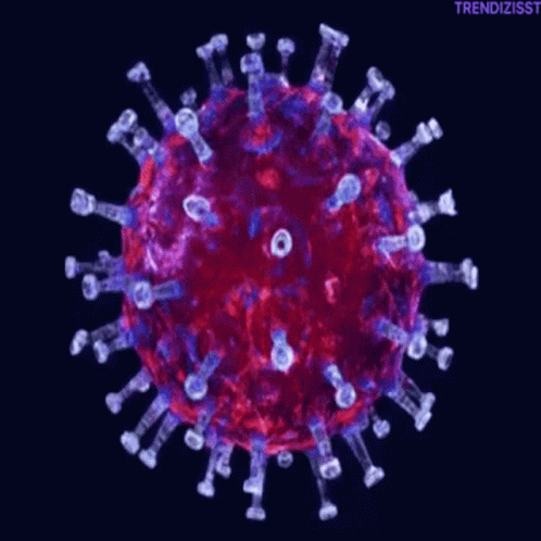A Computer Generated Image Of A Red And Purple Virus On A Black Background . GIF