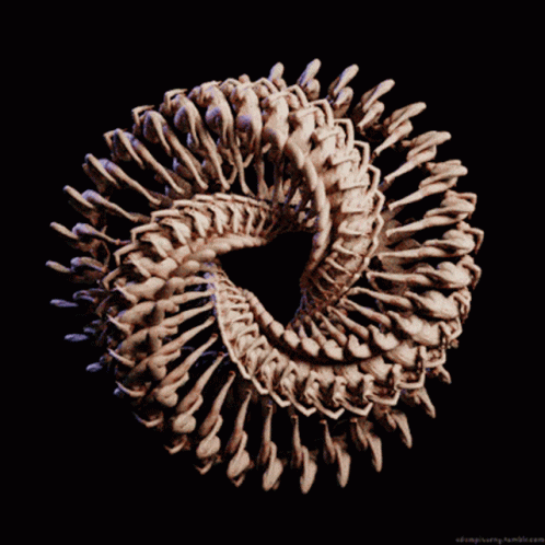 A Computer Generated Image Of A Swirl With A Black Background And A Watermark That Says Ad Simplicity Tumblr.com GIF