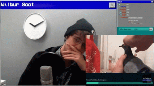 A Computer Screen Shows A Man And A Pigeon And Says Wilbur Soot On It GIF