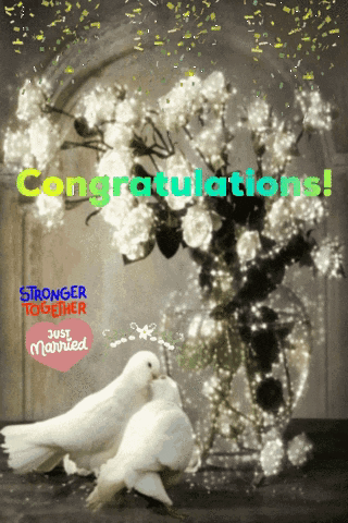 A Congratulations Card With Two Doves And Flowers GIF