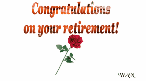 A Congratulations On Your Retirement Card With A Rose GIF