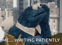 A Cookie Monster Is Sitting In Front Of A Window With The Words `` Me ... Waiting Patiently '' . GIF