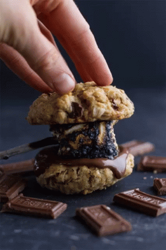 A Cookie Smores Delight GIF