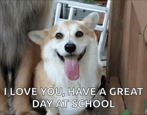A Corgi Dog With Its Tongue Out Is Smiling And Says `` I Love You , Have A Great Day At School '' GIF