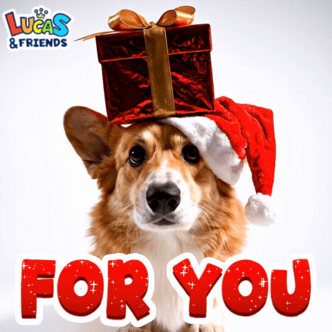 A Corgi Wearing A Santa Hat And A Gift On Its Head With The Words For You Below It GIF