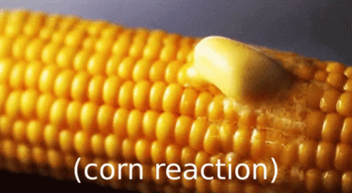 A Corn On The Cob With Butter On It And The Words Corn Reaction GIF