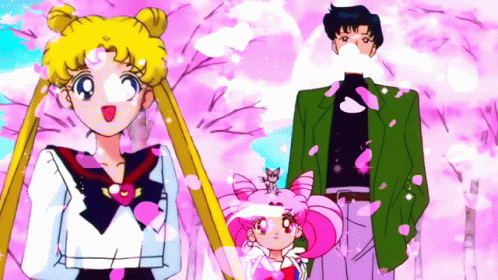 A Couple Of Anime Characters Standing Next To Each Other With Pink Petals Flying Around Them GIF