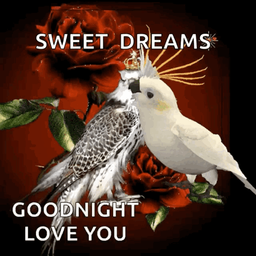 A Couple Of Birds Sitting Next To Each Other With The Words Sweet Dreams Goodnight Love You GIF